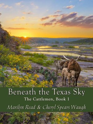 cover image of Beneath the Texas Sky